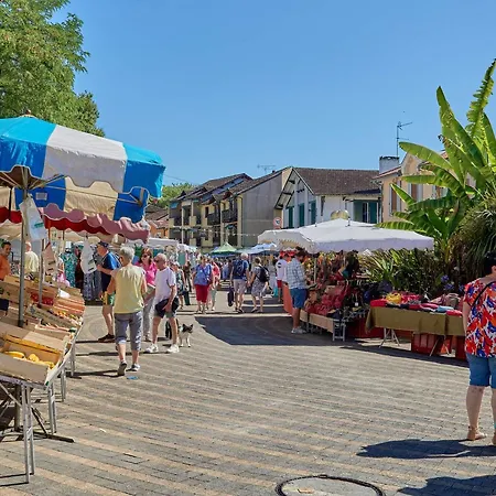 Διαμέρισμα Avec Wifi, Terrasse Et Animaux Admis - Fr-1-841-70 Barbotan-les-Thermes