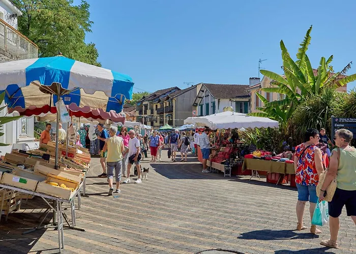 Apartmán Avec Wifi, Terrasse Et Animaux Admis - Fr-1-841-70 Barbotan-les-Thermes